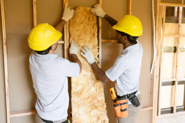 Best Insulation for New Construction  in Newkirk, OK